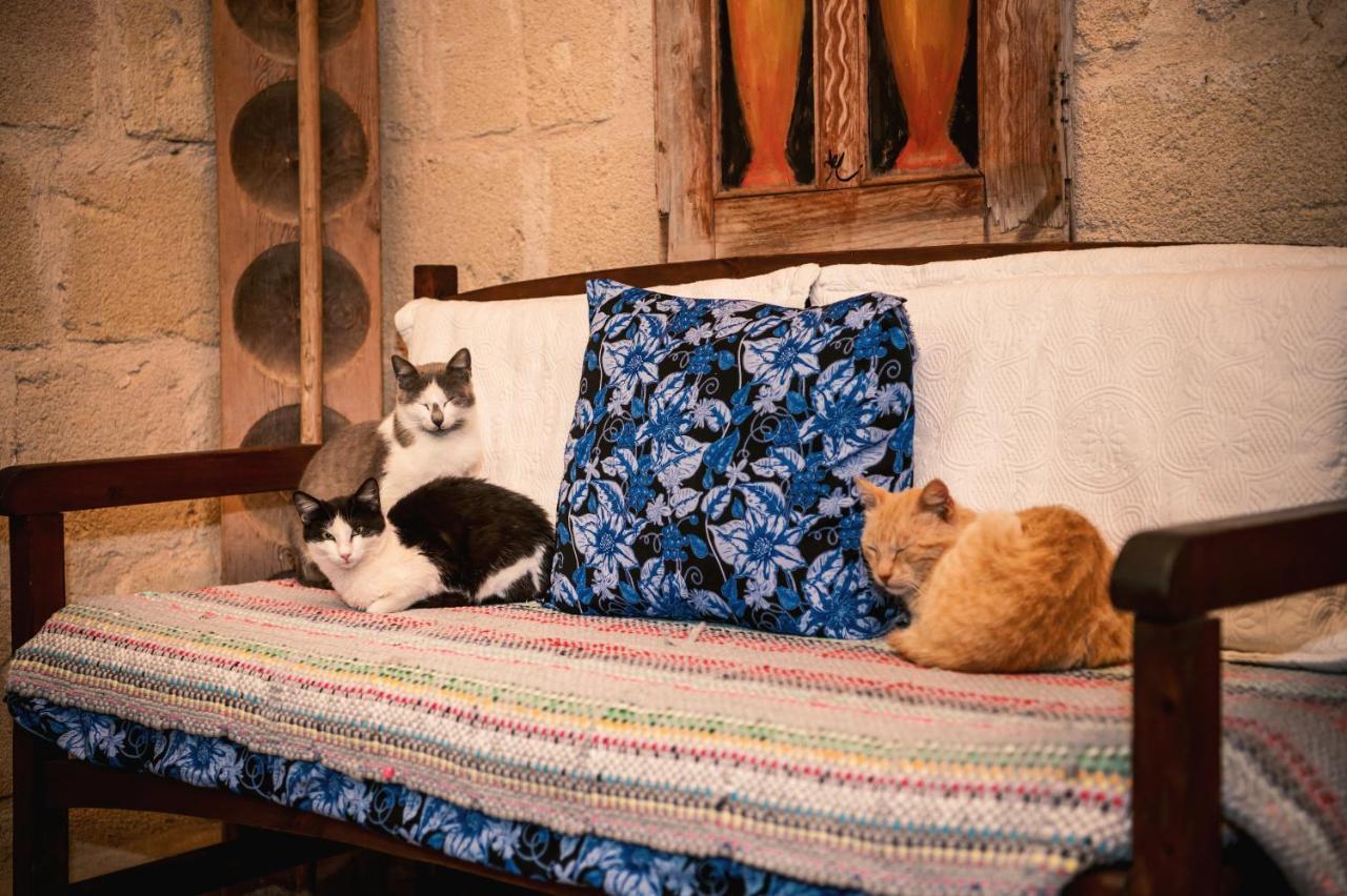 Revakli Ev Guest House Rizokarpaso エクステリア 写真